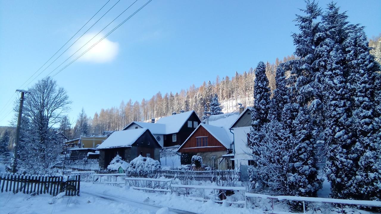 Penzion Edelstejn Petrovice  Exterior foto